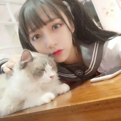 海贼时代ol内购版下载